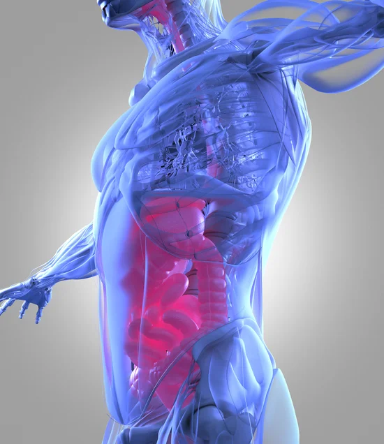 All about ulcers