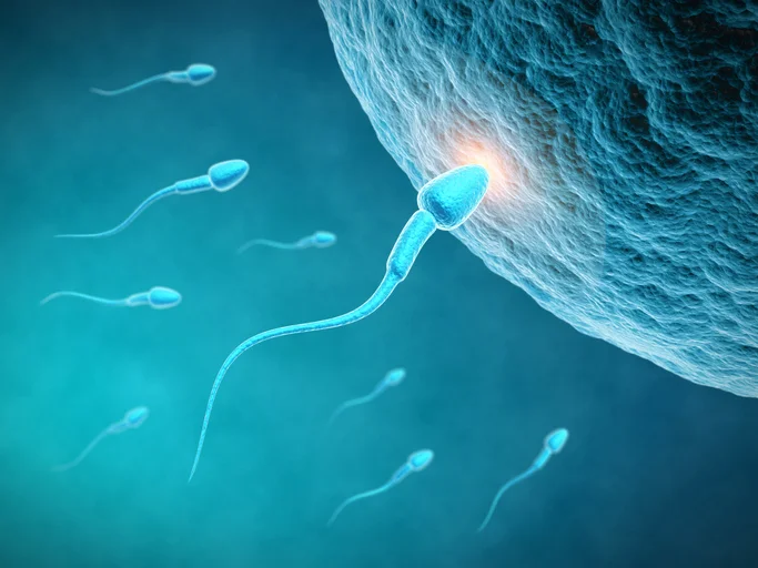 Flushing Fallopian Tubes for Fertility