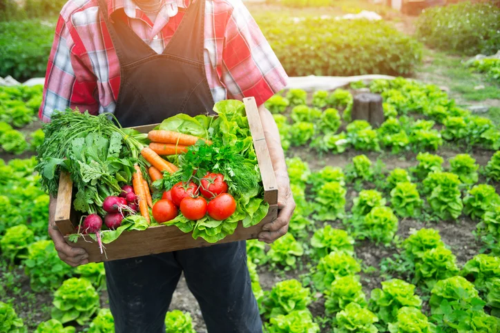 5 must-do steps avoiding foodborne illness at a farmer’s market