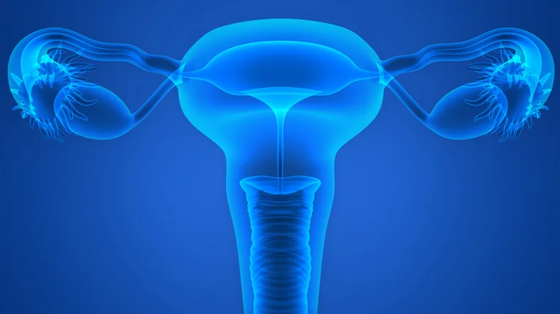 Vulvodynia: Women's Mystery Sickness