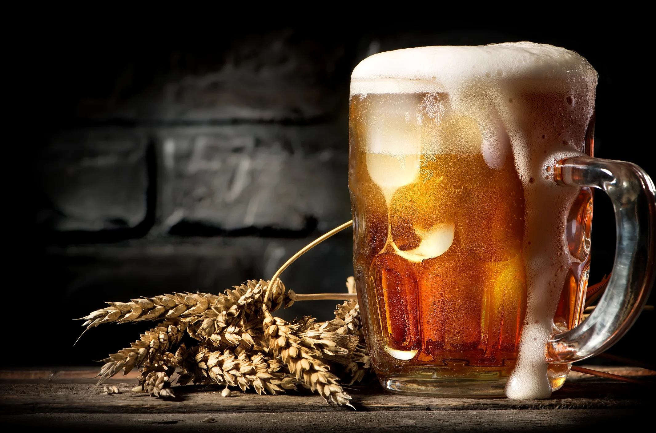 Beer and Probiotics