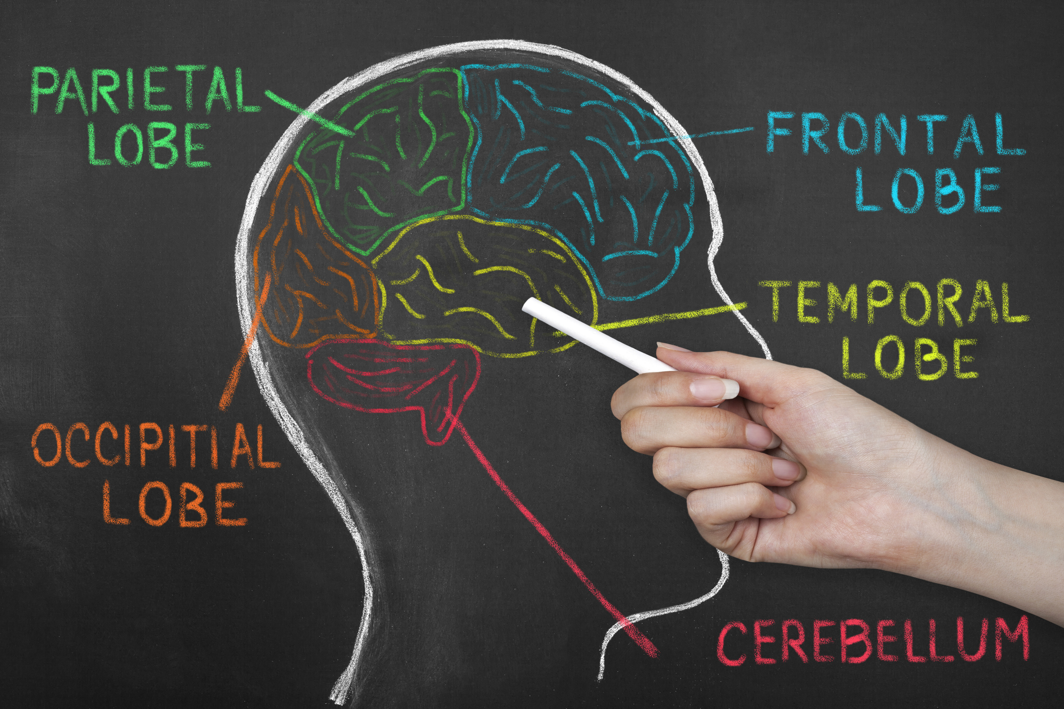 Making the most of your brain’s memory