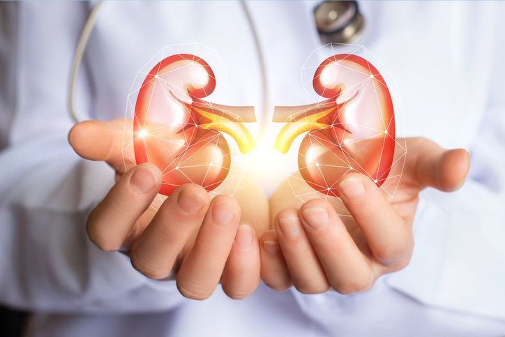 Facts about kidney infections