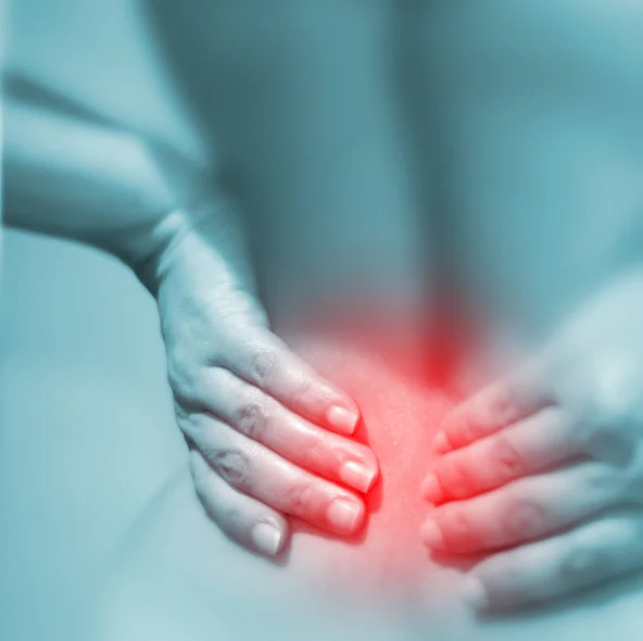 The nerve of sciatica