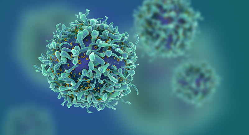 Why does our risk of cancer increase as we age?