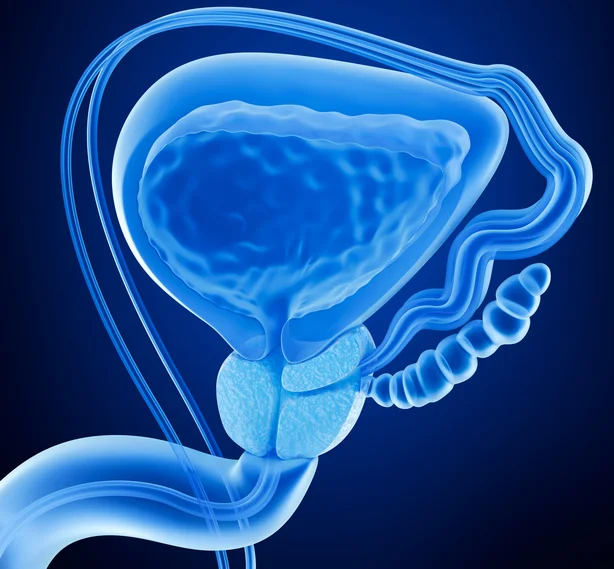 Knowing family medical history key to early prostate cancer detection