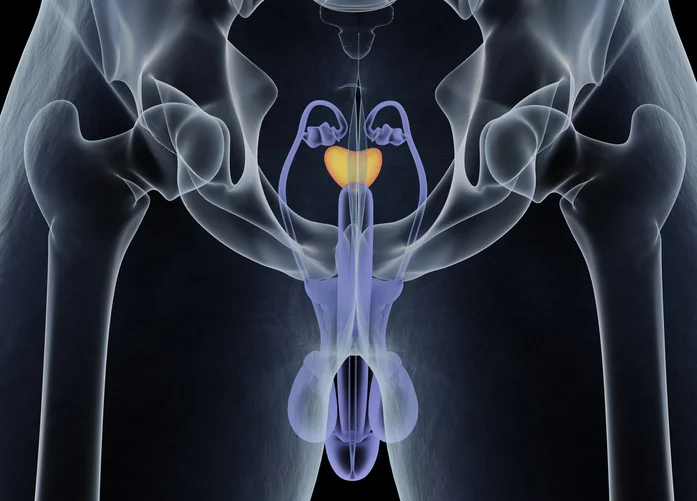 Why exercise is essential to protect the prostate