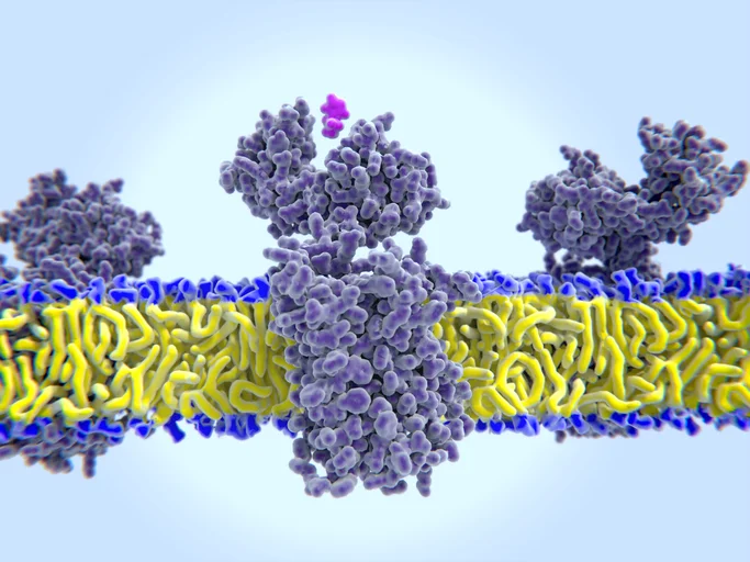 Enzyme rich foods dramatically improving digestion