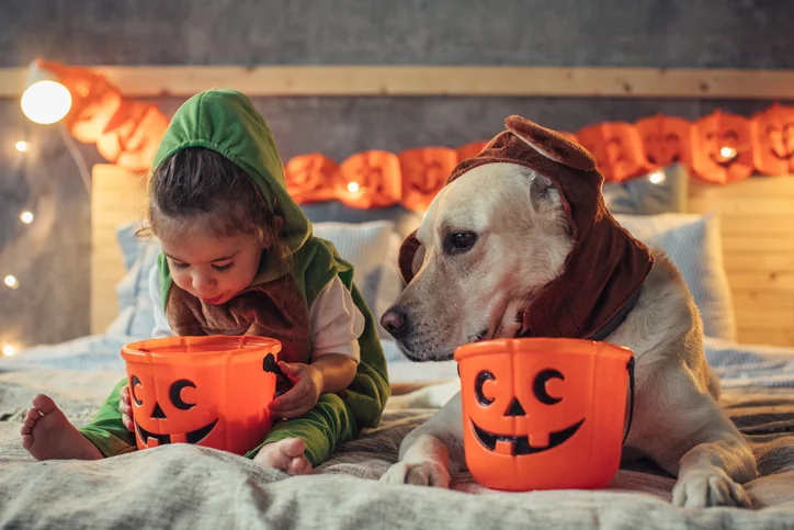 How to handle Halloween candy craziness