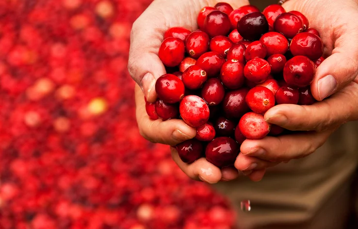 Crazy for cranberries all year long