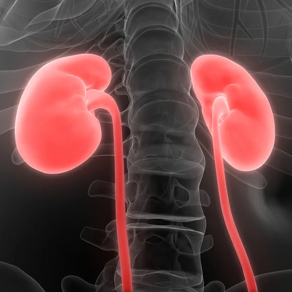 Keep chronic kidney disease from progressing