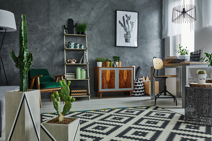 How houseplants enhance your health