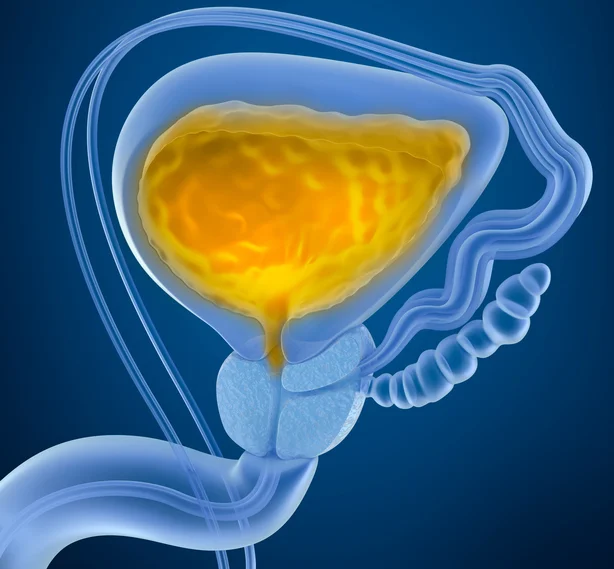 High intake of certain plants may double aggressive prostate cancer risk