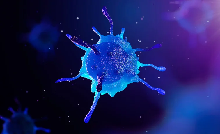 Study shows 20-year drop in U.S. cancer deaths