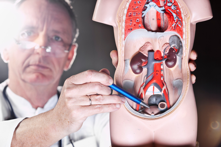 Bladder problems men should see a urologist for