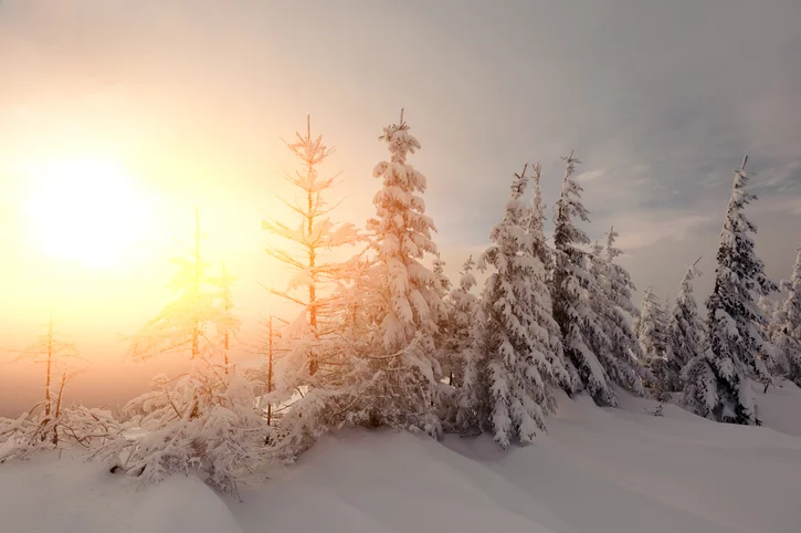 How ultraviolet light could be answer to fighting the flu