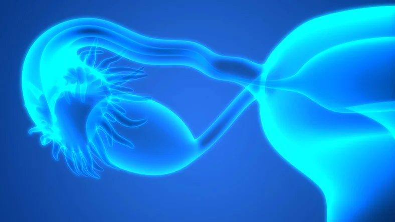 Does removing the fallopian tubes reduce ovarian cancer?