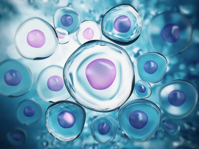 5 ways strengthening your immune system naturally