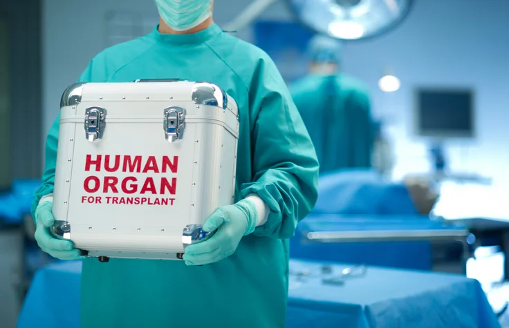 Scientists claim discovery of a new organ in the human body