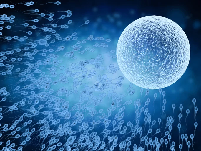 The link between male infertility and varicoceles