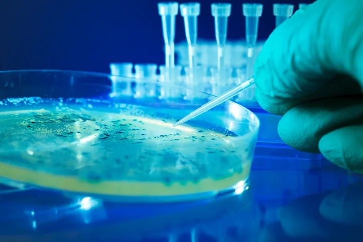 E. Coli:  How to protect yourself from this dangerous bacteria