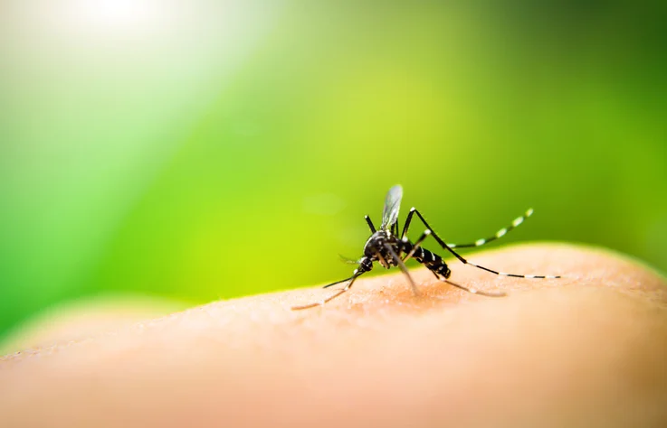 Mosquito and tick infections triple and are spreading rapidly, says CDC