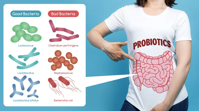 Good gut health begins with probiotics