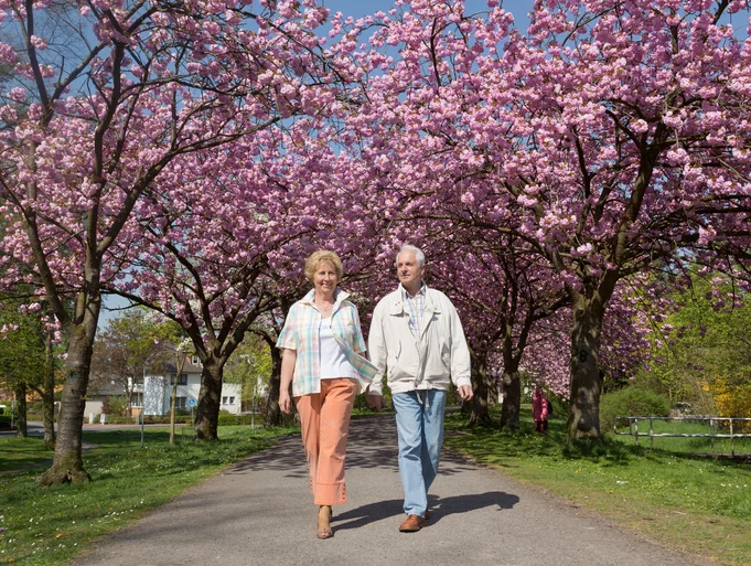 Brisk walking has the biggest health benefits 