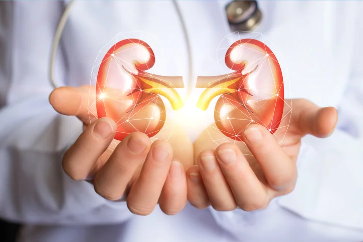 Interesting facts about kidney cancer