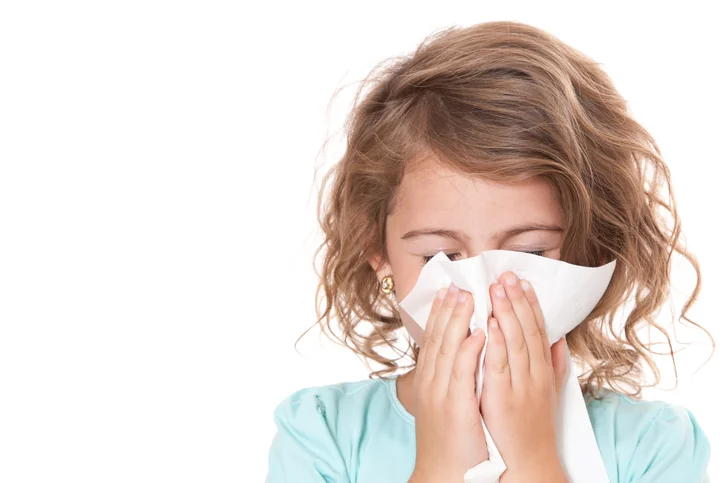 Surviving summer hay fever
