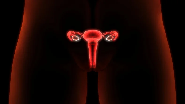 Test your smarts about cervical cancer