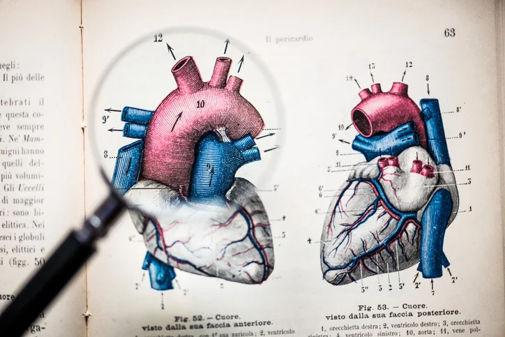 10 questions to ask your doctor about heart disease