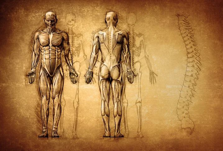How poor posture harms your health