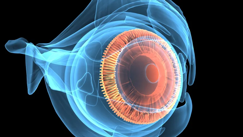 Vision health begins with a dilated eye exam