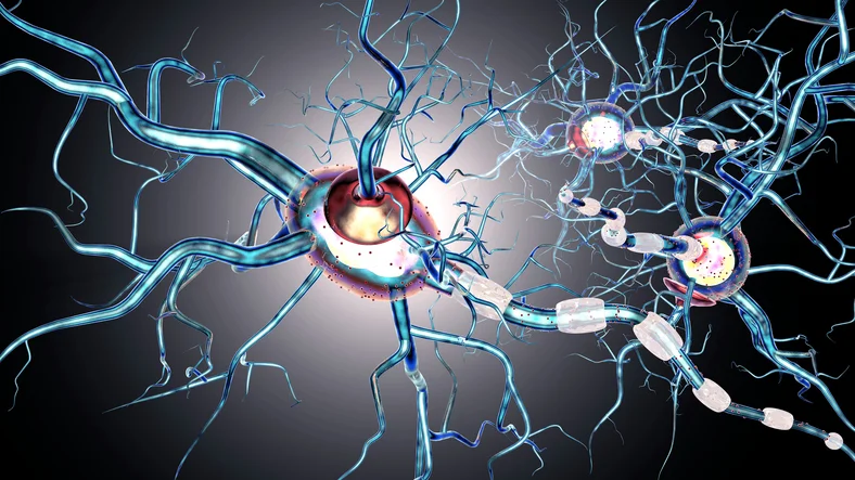 The unpredictable nature of Multiple Sclerosis