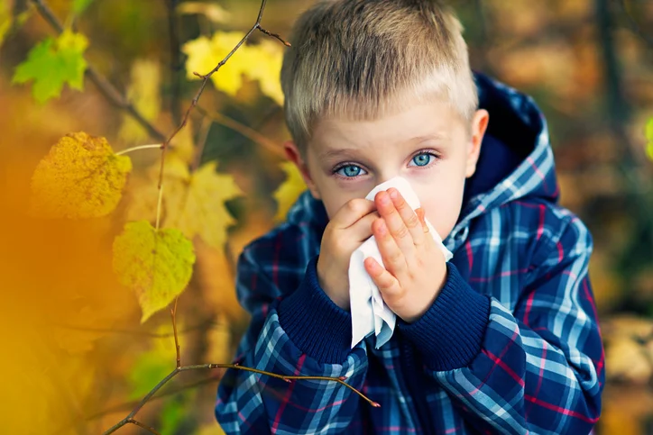 How to fight back fall allergies