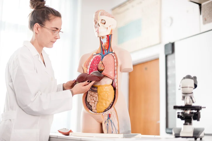 Powerful ways to protect your liver