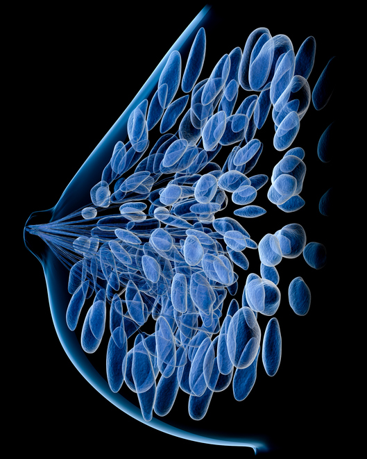 4 strategies for the prevention of breast cancer 