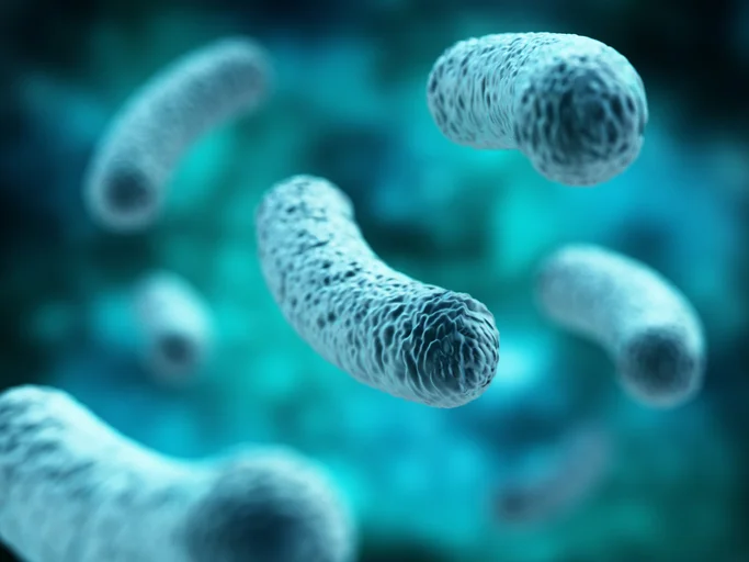 7 common myths about probiotics