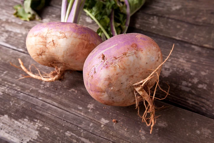 Rutabagas and turnips lack looks but deliver on nutrition