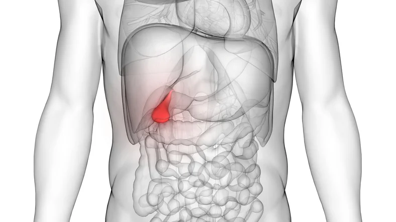 Essential facts to know about your gallbladder and gallstones