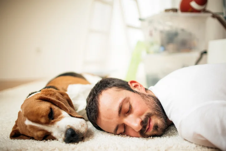 Give your brain a boost with a power nap