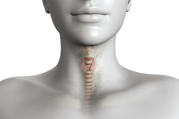 Thyroid disorders affect more women than men