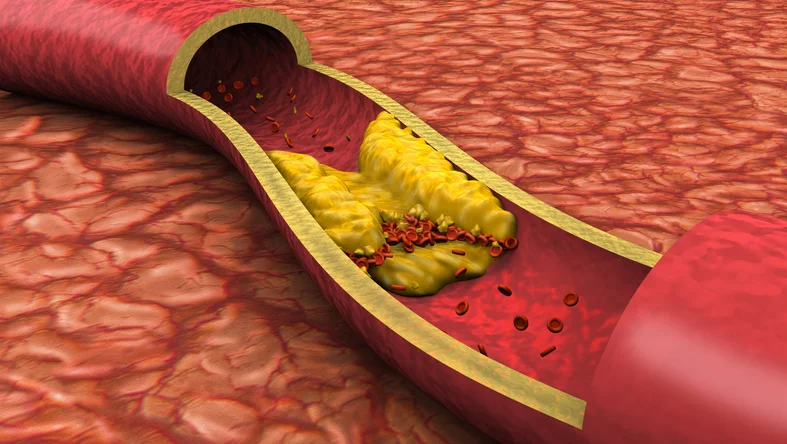 8 little-known but fascinating facts about cholesterol