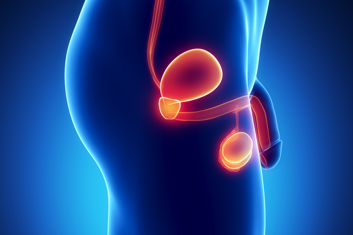 Why men should understand epididymitis and orchitis