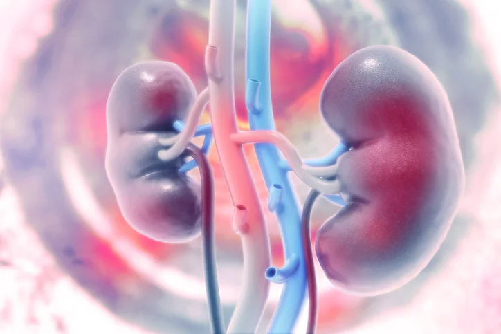 Fast facts to know about kidney cancer