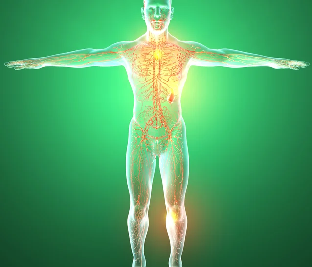 5 natural ways strengthening your immune system