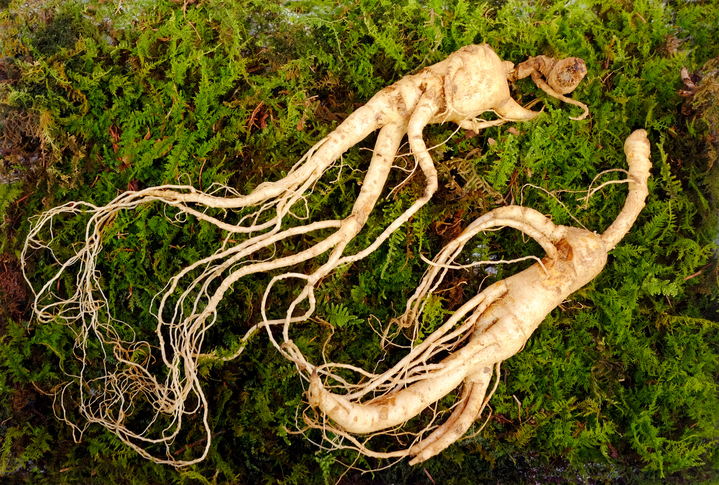 Is ginseng good for your health?