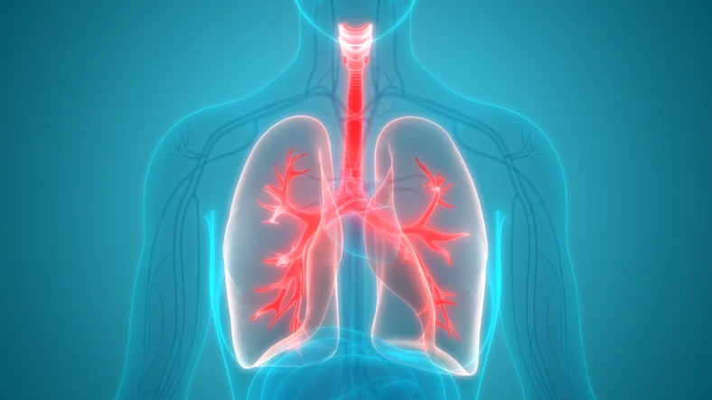 Valuable tips for preserving healthy lungs