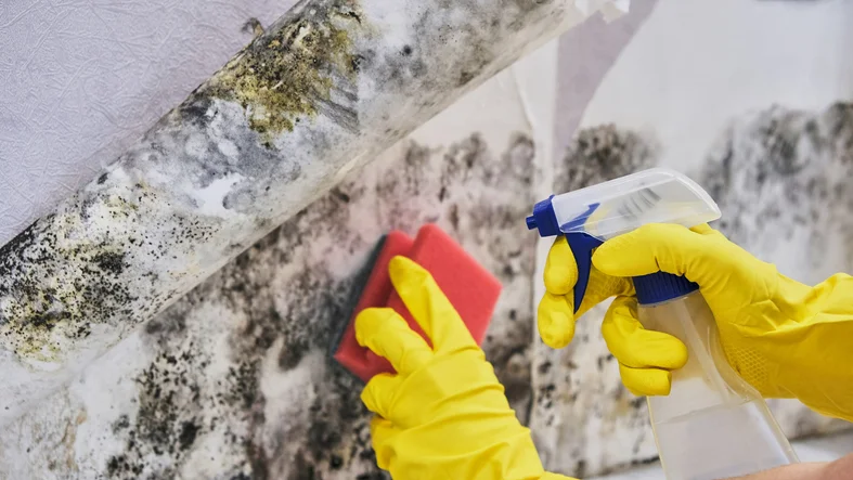 Reducing your risk of exposure to mold 